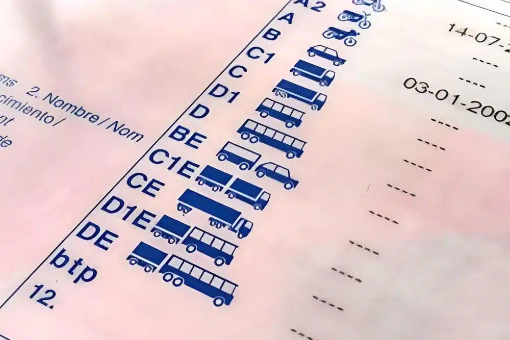 carnet de conducir por puntos